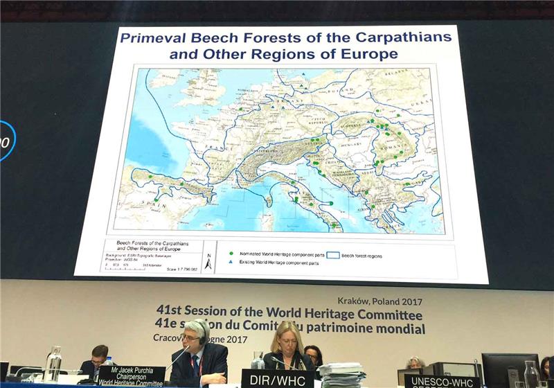 Three Croatian beech forest areas included among UNESCO World Heritage Sites