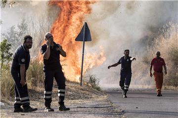 ITALY FIRES