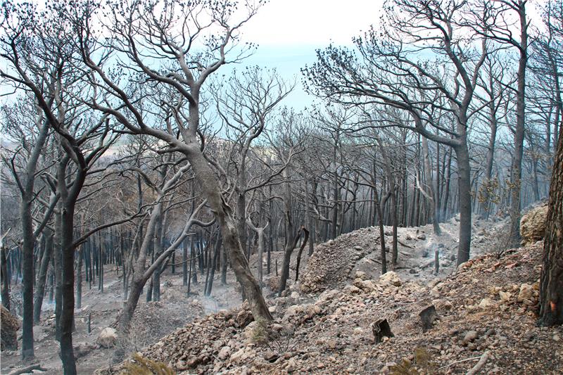 Wildfires in Sibenik hinterland put under control