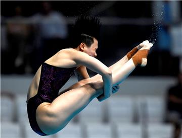 HUNGARY SWIMMING FINA WORLD CHAMPIONSHIPS 2017