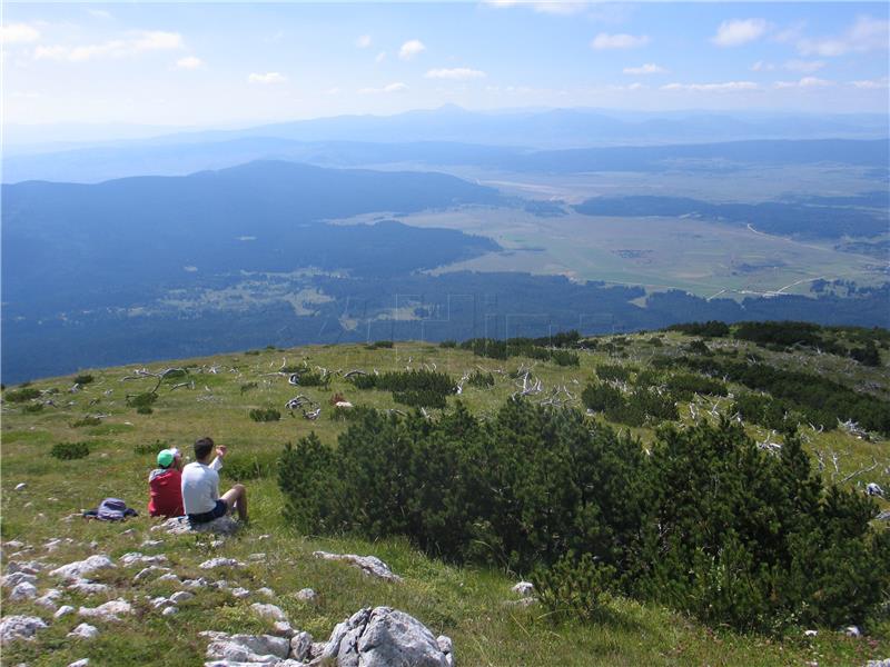 REPORTAŽA Na planini Raduši s posljednjom generacijom obitelji nedovoljno priznate stočarske tradicije