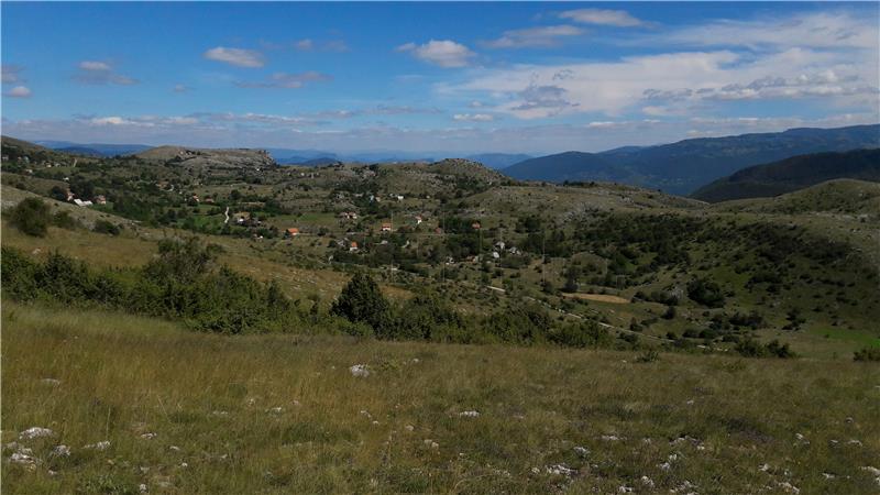 REPORTAŽA Na planini Raduši s posljednjom generacijom obitelji nedovoljno priznate stočarske tradicije