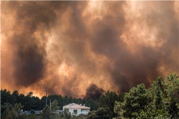 PORTUGAL FOREST FIRE