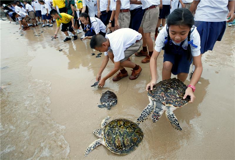 THAILAND ANIMALS