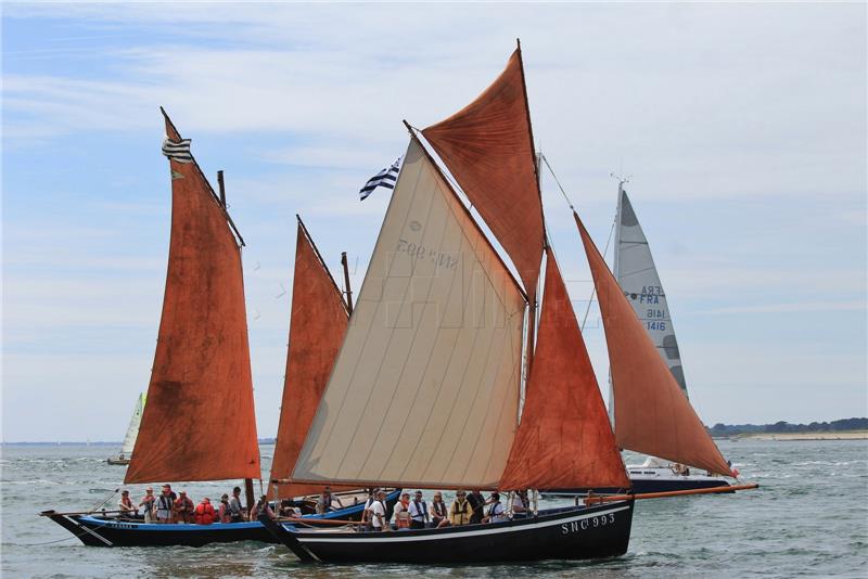 Regata tradicijskih barki Fažana - Brijuni, u subotu, 29. srpnja