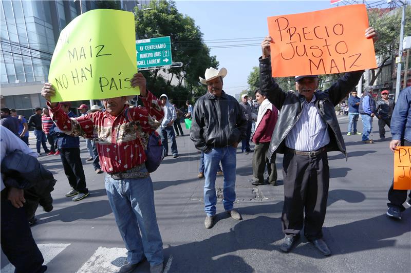 MEXICO PROTEST NAFTA