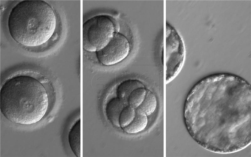 USA SCIENCE DNA EDITING