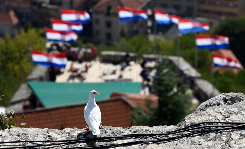 Podignuta zastava na kninskoj tvrđavi - golubica sletjela na zidine