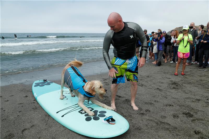 USA WORLD DOG SURFING CHAMPIONSHIPS