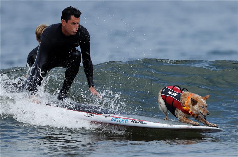 USA WORLD DOG SURFING CHAMPIONSHIPS