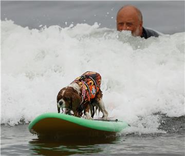 USA WORLD DOG SURFING CHAMPIONSHIPS