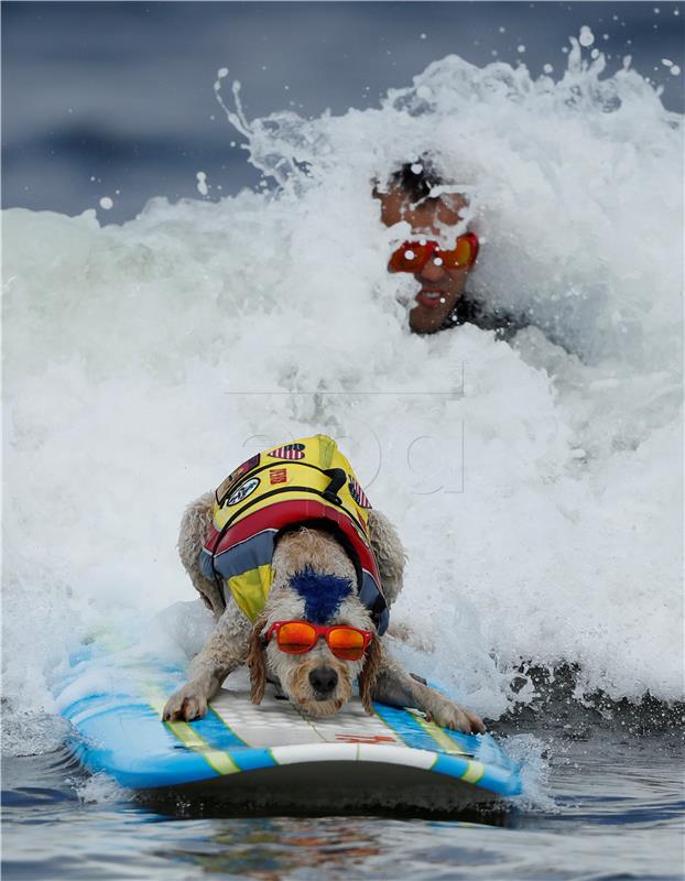 USA WORLD DOG SURFING CHAMPIONSHIPS