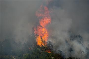 Požar u Bogatićima još nije lokaliziran, izgorjelo 300 hektara