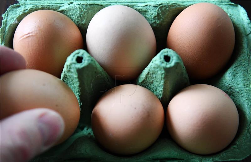 BRITAIN NETHERLANDS FIPRONIL SCANDAL EGGS