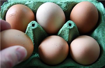 BRITAIN NETHERLANDS FIPRONIL SCANDAL EGGS