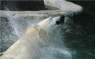 RUSSIA MOSCOW ZOO