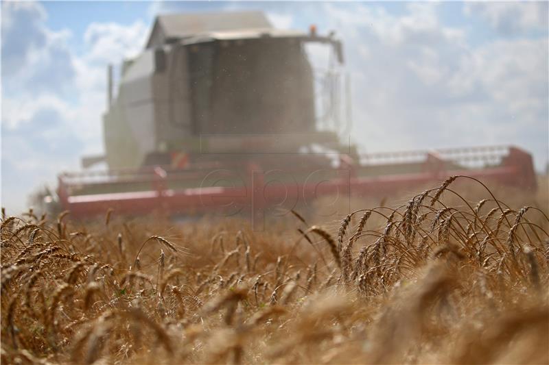 RUSSIA AGRICULTURE HARVEST