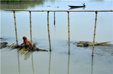 INDIA FLOOD