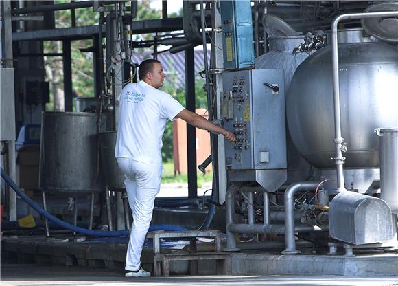 Milk farmers to receive EUR 3 mln of state aid 