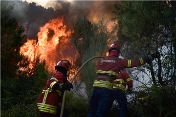 PORTUGAL WILD FIRES