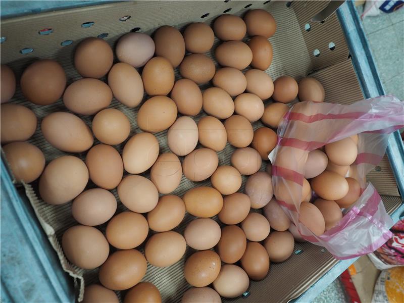 TAIWAN AGRICULTURE FIPRONIL EGGS