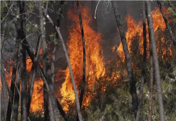 SPAIN ANDALUCIA FOREST FIRE