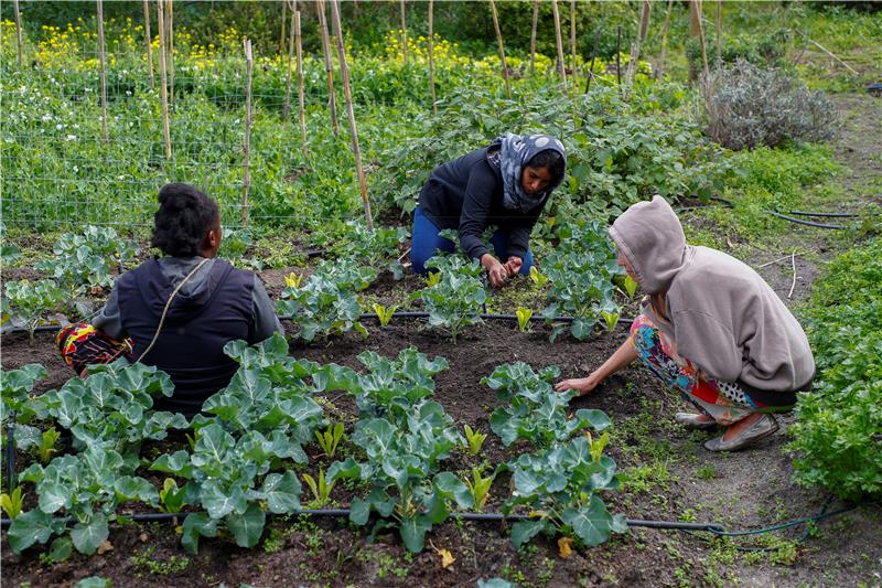 SOUTH AFRICA PERMACULTURE EDUCATION PROGRAM