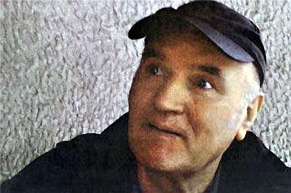 Serbia will guarantee for Mladic's provisional release, minister says