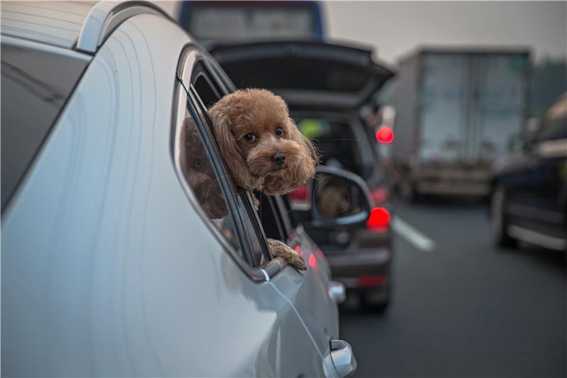 CHINA DAILY LIFE