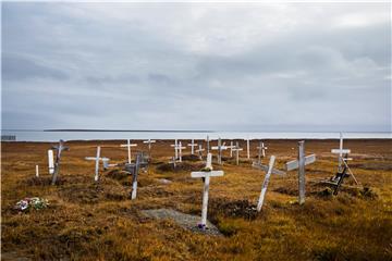 USA PHOTO ESSAY POLAR BEARS