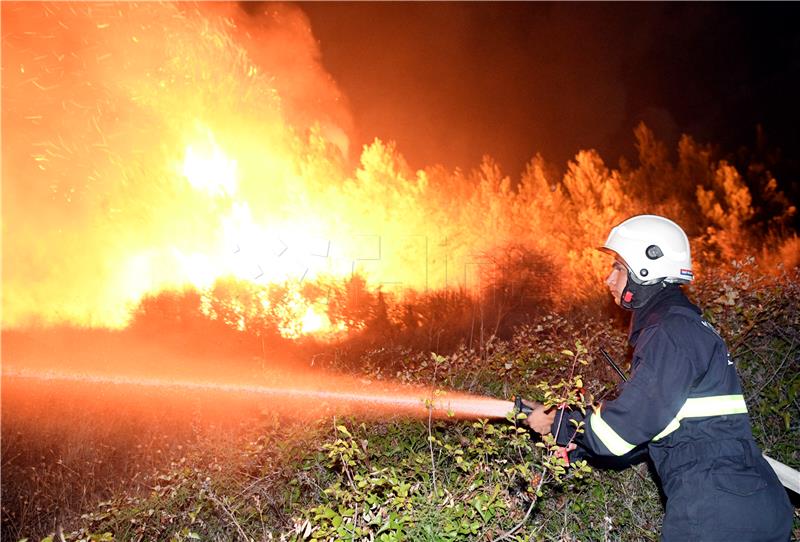 More than 100,000 hectares of land consumed by wildfires this year