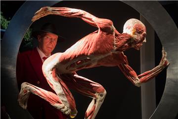 Body Worlds in Germany