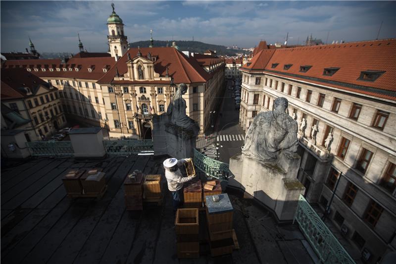 CZECH REPUBLIC ECONOMY AGRICULTURE BEES