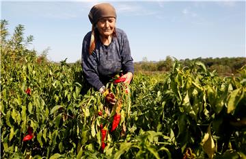 SERBIA AGRICULTURE