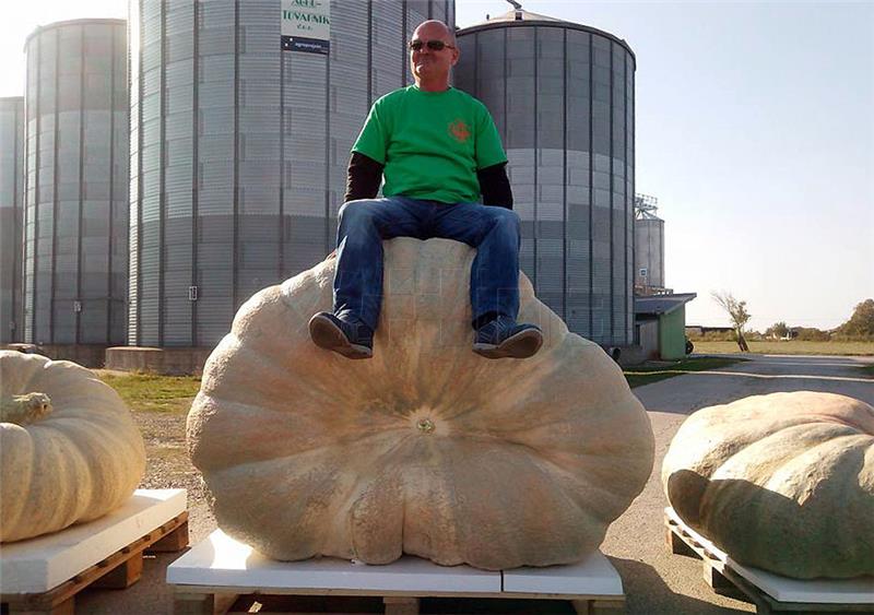 Jesenski festival u Tovarniku - najteža bundeva od 660 kilograma