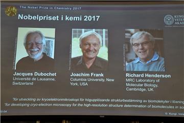 Nobelovu nagradu za kemiju dobili Dubochet, Frank i Henderson za razvoj krioelektronske mikroskopije