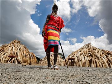 (FILE) KENYA BRITAIN IVORY FINGER PRINT KIT