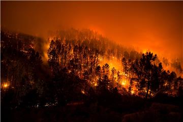 SPAIN FOREST FIRE