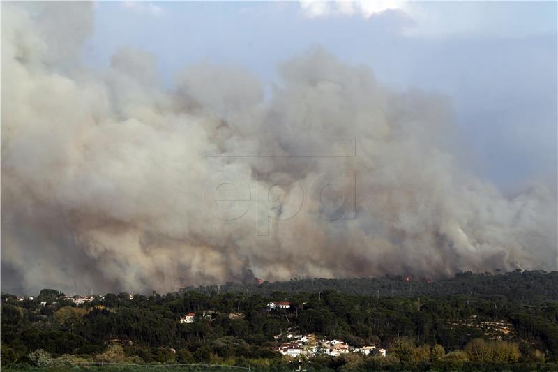 PORTUGAL FIRE FOREST