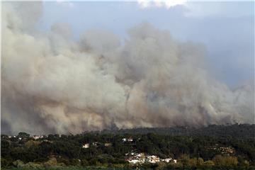 PORTUGAL FIRE FOREST