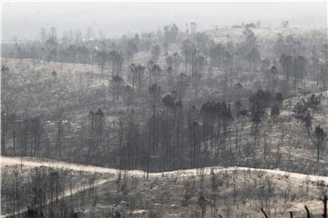 PORTUGAL FOREST FIRE