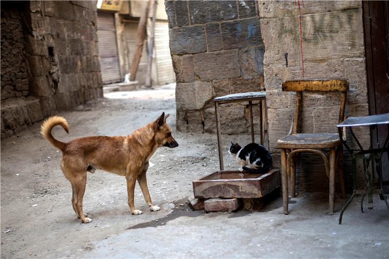 EGYPT DAILY LIFE