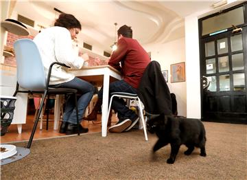 CROATIA TOURISM  PET CAFES