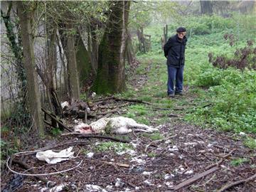 Sisak: Čagljevi sve bliže gradskom središtu