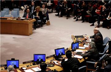 USA UN SECURITY COUNCIL