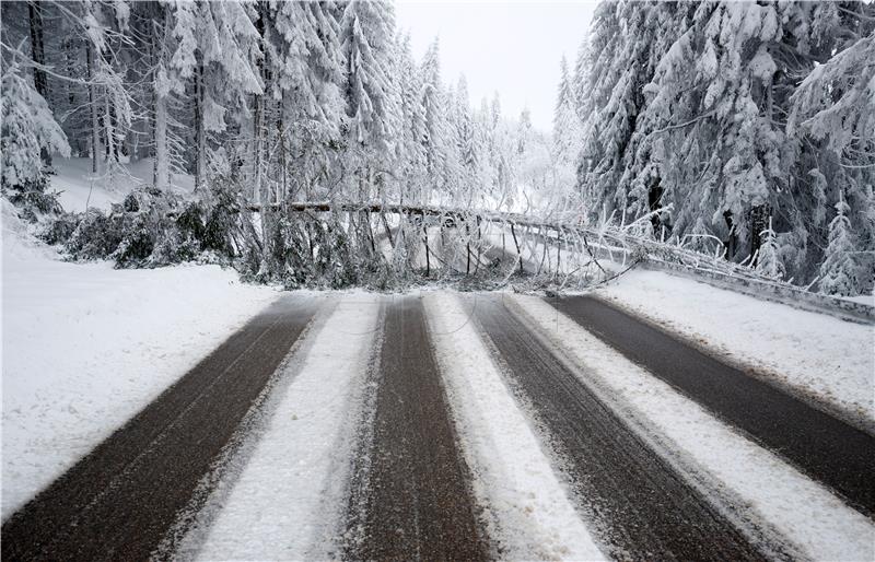 GERMANY SNOWY BLACK FOREST