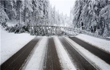 GERMANY SNOWY BLACK FOREST