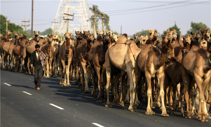 INDIA DAILY LIFE