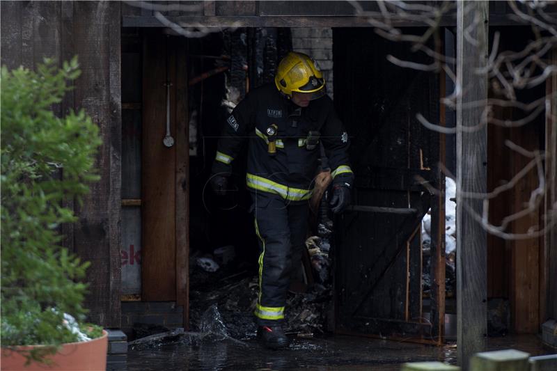 U požaru u londonskome zoološkom vrtu stradale životinje