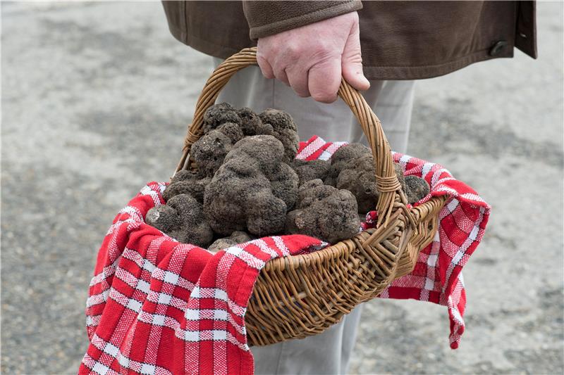 FRANCE GASTRONOMY TRUFFELS